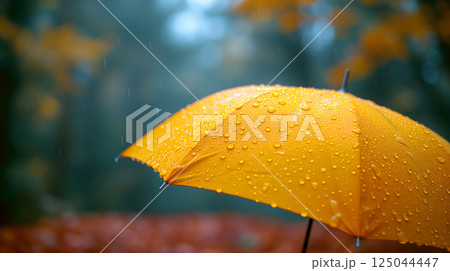 Close up, yellow umbrella under rainfall against a background of autumn leaves. Concept of rainy weather. Close up, yellow umbrella under rainfall against a background of autumn leaves. Concept of rainy weather. 125044447