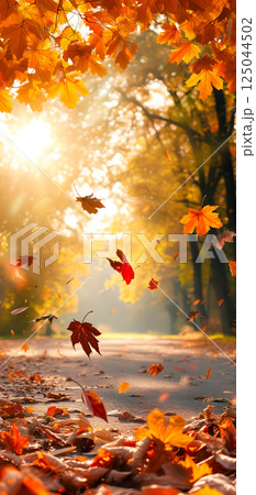 Beautiful autumn view with colorful foliage in the park. Falling leaves background with copy space and selective focus. 125044502