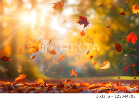 Beautiful autumn view with colorful foliage in the park. Falling leaves background with copy space and selective focus. Beautiful autumn view with colorful foliage in the park. Falling leaves background with copy space and selective focus. 125044508