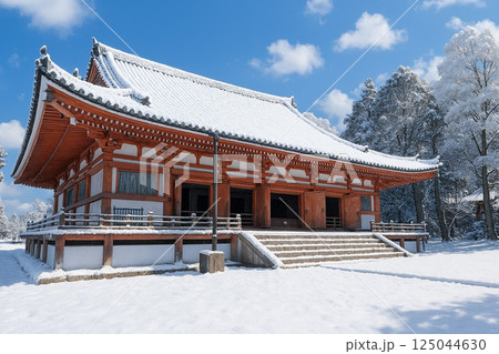 醍醐寺　金堂　雪景色 125044630