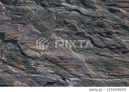 Close-up texture of a layered, dark gray metamorphic rock surface. Close-up texture of a layered, dark gray metamorphic rock surface. 125044658
