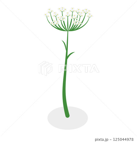 3D Isometric Flat Vector Illustration of Flowers Collection, Set of Various Blooming Plants. Item 13 3D Isometric Flat Vector Illustration of Flowers Collection, Set of Various Blooming Plants. Item 13 125044978