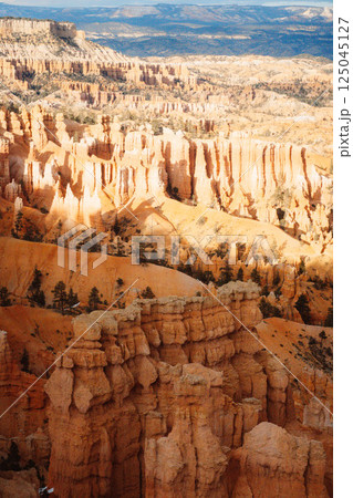 Bryce 7 125045127