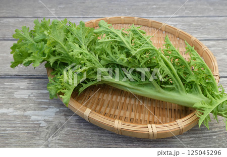 冬から春が旬！葉がちりめん状に縮む、ちりめん葉からし菜の写真 125045296