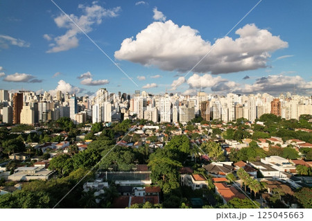 City skyline of Sao Paulo with green areas and cloud patterns 125045663