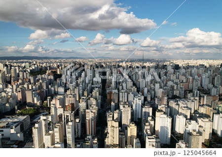 Skyline view of Sao Paulo showcasing urban density and cityscape 125045664