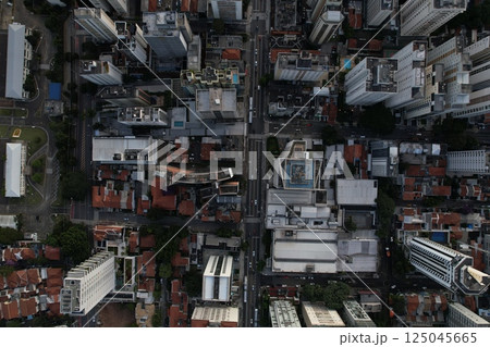 Overhead view of Sao Paulo highlighting urban blend of buildings and streets 125045665