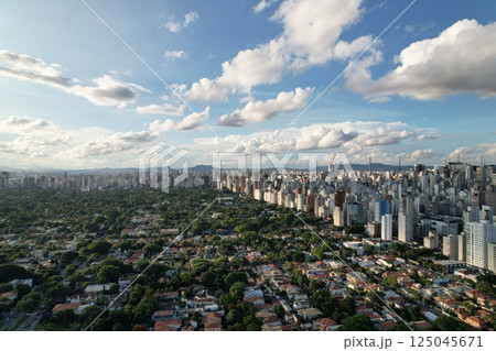 Skyline view of Sao Paulo reveals urban evolution and green spaces Skyline view of Sao Paulo reveals urban evolution and green spaces 125045671