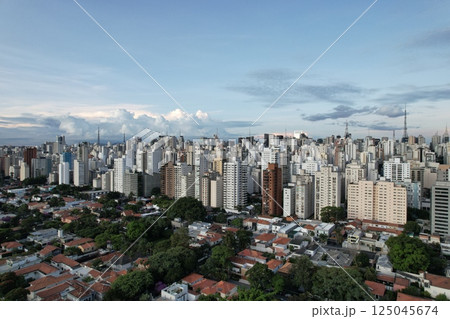 Skyline of Sao Paulo showcasing modern architecture and urban life Skyline of Sao Paulo showcasing modern architecture and urban life 125045674