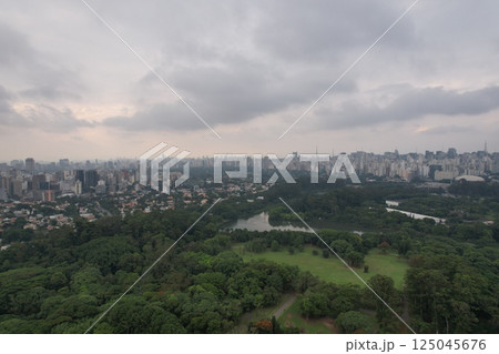 Spectacular view of Sao Paulo showcasing lush greenery and urban skyline Spectacular view of Sao Paulo showcasing lush greenery and urban skyline 125045676