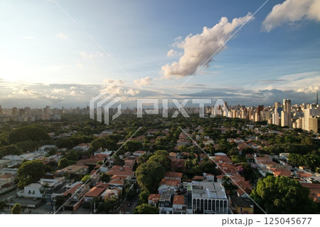 Sao Paulo skyline view showing urban development and green spaces 125045677