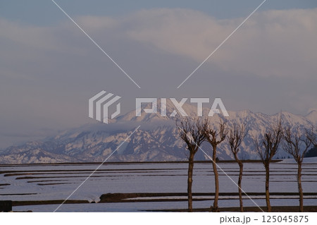 池ケ原　はさ木　山　八海山 125045875