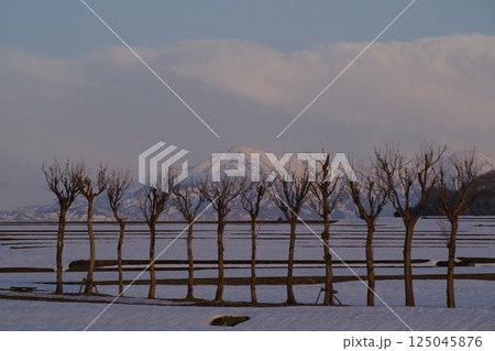 池ケ原　はさ木　山　八海山 125045876