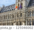 The Grand Palace, Brussels Belgium daylight 125046002