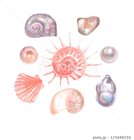 Delicate Watercolor Set with Shells and Pearls Delicate Watercolor Set with Shells and Pearls 125046538