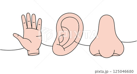 Set of human organ one line colored continuous drawing. Hand, nose, ear continuous one line illustration. 125046680