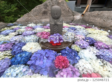 手水舎に浮かぶ紫陽花 手水舎に浮かぶ紫陽花 125046721