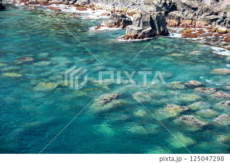 伊豆半島東海岸 城ケ崎の澄んだ青い海 伊豆半島東海岸 城ケ崎の澄んだ青い海 125047298