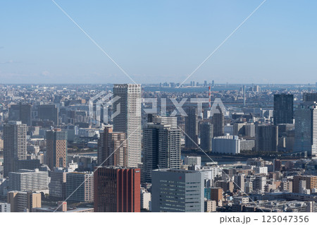高層ビルから見る都心の風景 125047356