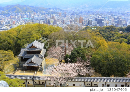 松山市街（松山城天守閣より） 125047406