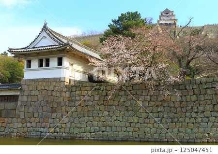 春の丸亀城 春の丸亀城 125047451