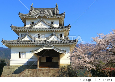 春の宇和島城天守閣 125047464