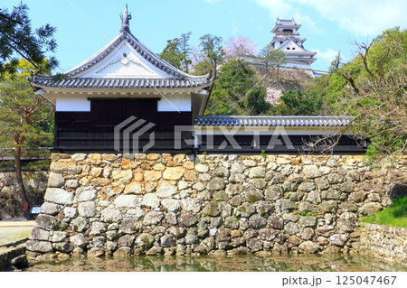春の高知城 125047467