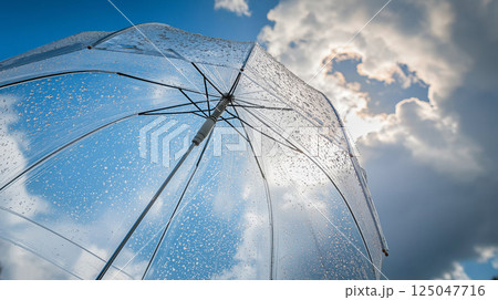 ビニール傘 125047716