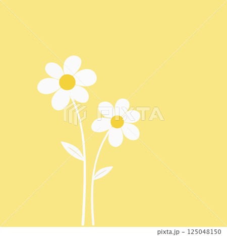 Two Daisies on Yellow Background 125048150