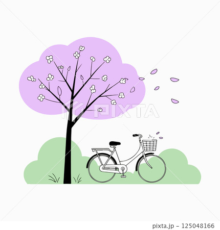 Bicycle under a Cherry Blossom Tree 125048166