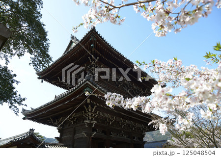 春の清涼寺　仁王門　京都市右京区嵯峨 125048504