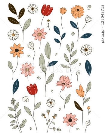 Floral Illustration 125048718