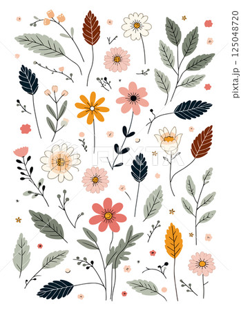 Floral Illustration Pattern 125048720