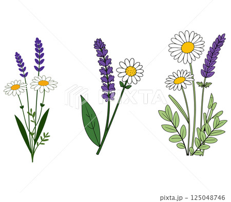 Lavender and Daisy Arrangements Lavender and Daisy Arrangements 125048746