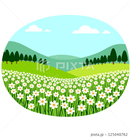 Daisy Field Landscape 125048762