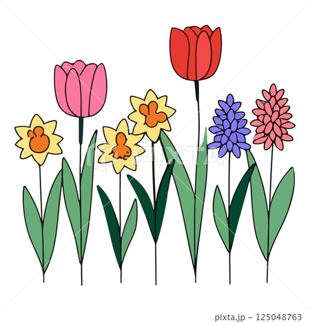 Spring Flowers 125048763