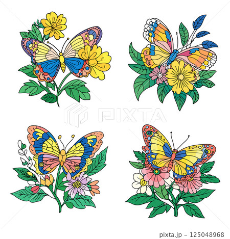 Butterfly and Flower Illustrations 125048968