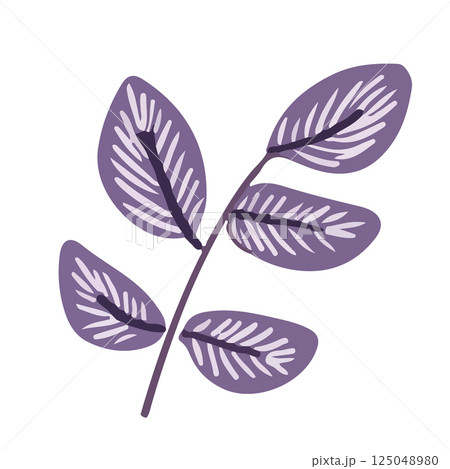Stylized Purple Leaf Branch Stylized Purple Leaf Branch 125048980