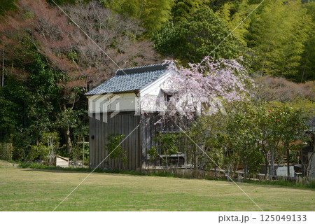 春の嵯峨野　土蔵ある風景　京都市右京区嵯峨 125049133