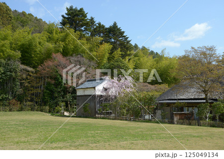 春の嵯峨野　土蔵ある風景　京都市右京区嵯峨 125049134