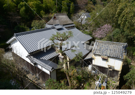 春の嵯峨野 奥嵯峨の民家 京都市右京区嵯峨 春の嵯峨野 奥嵯峨の民家 京都市右京区嵯峨 125049279