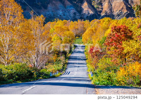 紅葉に染まる八幡平 ~八幡平アスピーテライン~ 紅葉に染まる八幡平 ~八幡平アスピーテライン~ 125049294