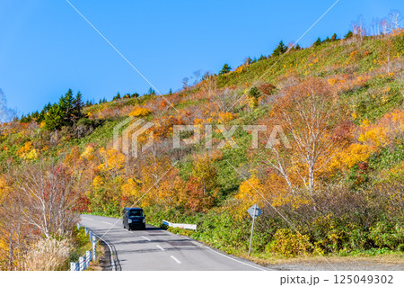 紅葉に染まる八幡平 ~八幡平アスピーテライン~ 紅葉に染まる八幡平 ~八幡平アスピーテライン~ 125049302