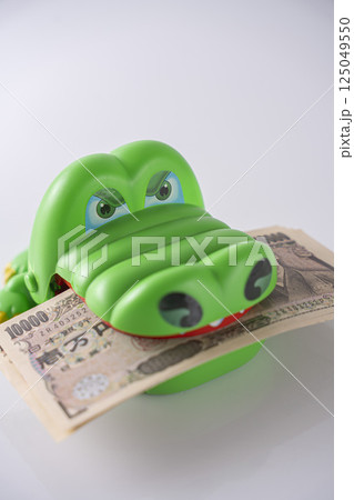 お金に執着しているワニ ビジネス 貯金  125049550