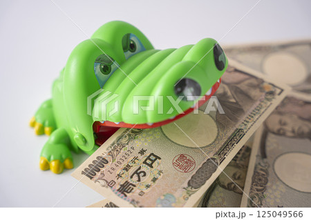 お金に執着しているワニ ビジネス 貯金  125049566