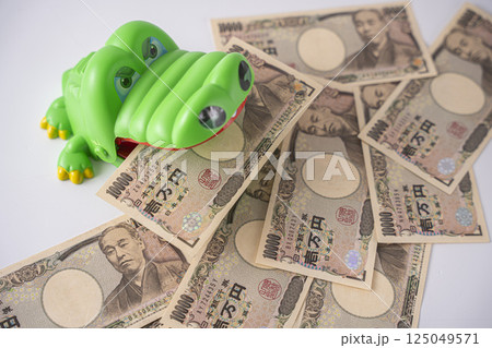 お金に執着しているワニ ビジネス 貯金  125049571