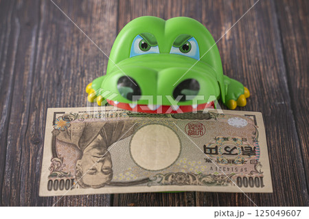 お金に執着しているワニ ビジネス 貯金  125049607