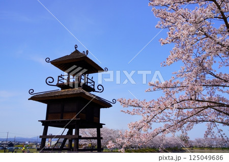 奈良の弥生遺跡　唐古・鍵遺跡の楼閣と満開の桜並木 125049686