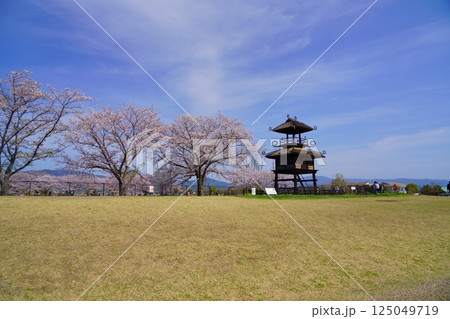 奈良の弥生遺跡　唐古・鍵遺跡の楼閣と満開の桜並木 125049719