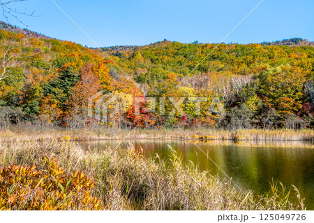 岩手 紅葉に染まる八幡平　～水鏡の御在所沼～ 125049726